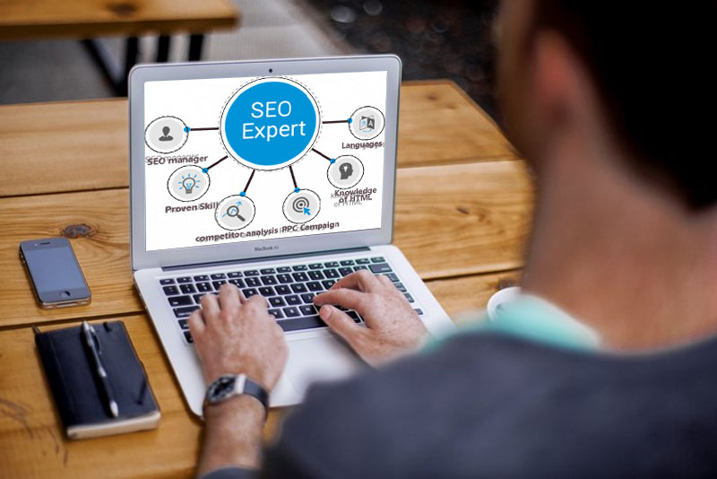 What Can a Freelance SEO Expert do for Your Business?  