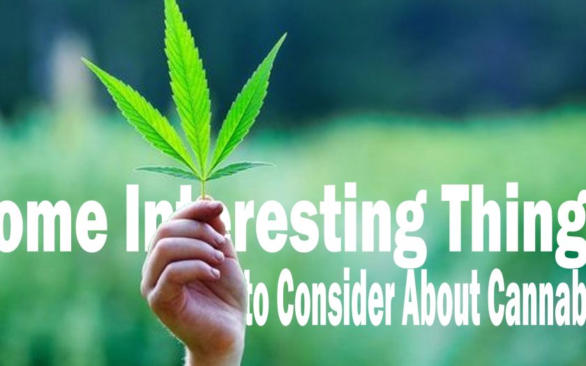 Some Interesting Things to Consider About Cannabis