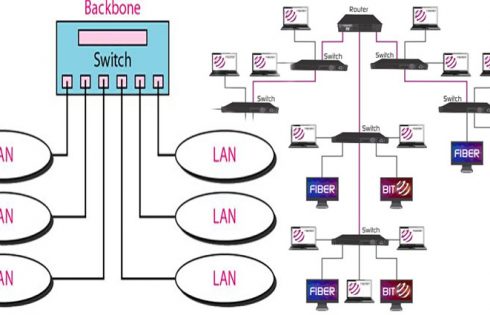 Switched Backbone Networks