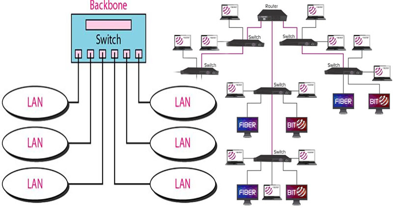 Switched Backbone Networks