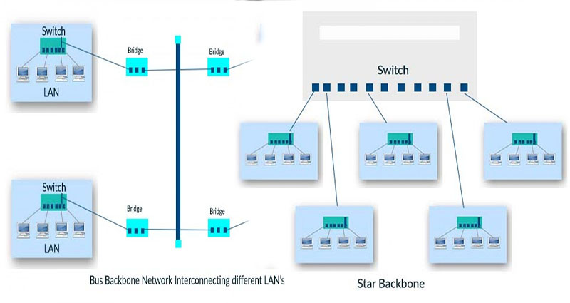 Types of Backbone Networks
