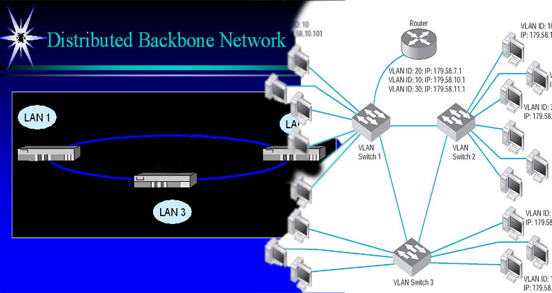 What Is a Distributed Backbone Network?