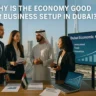 Why is the Economy Good for Business Set up in Dubai?